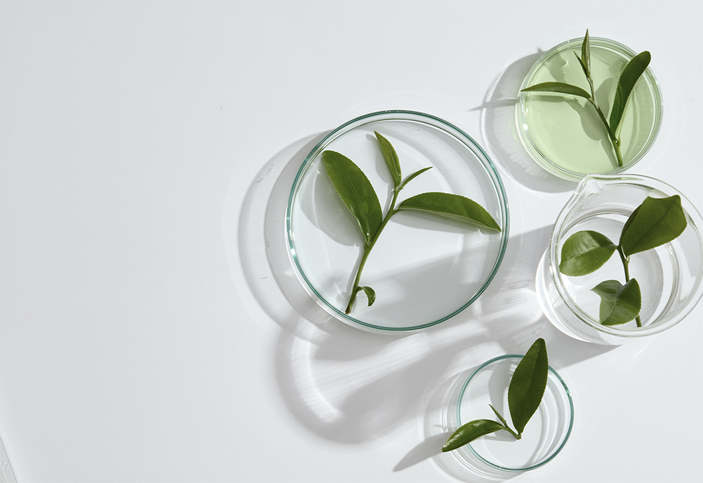 CLINICAL STUDY WITH COMPLEX B19 HERBAL EXTRACT